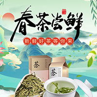 春茶尝鲜，就等你来！